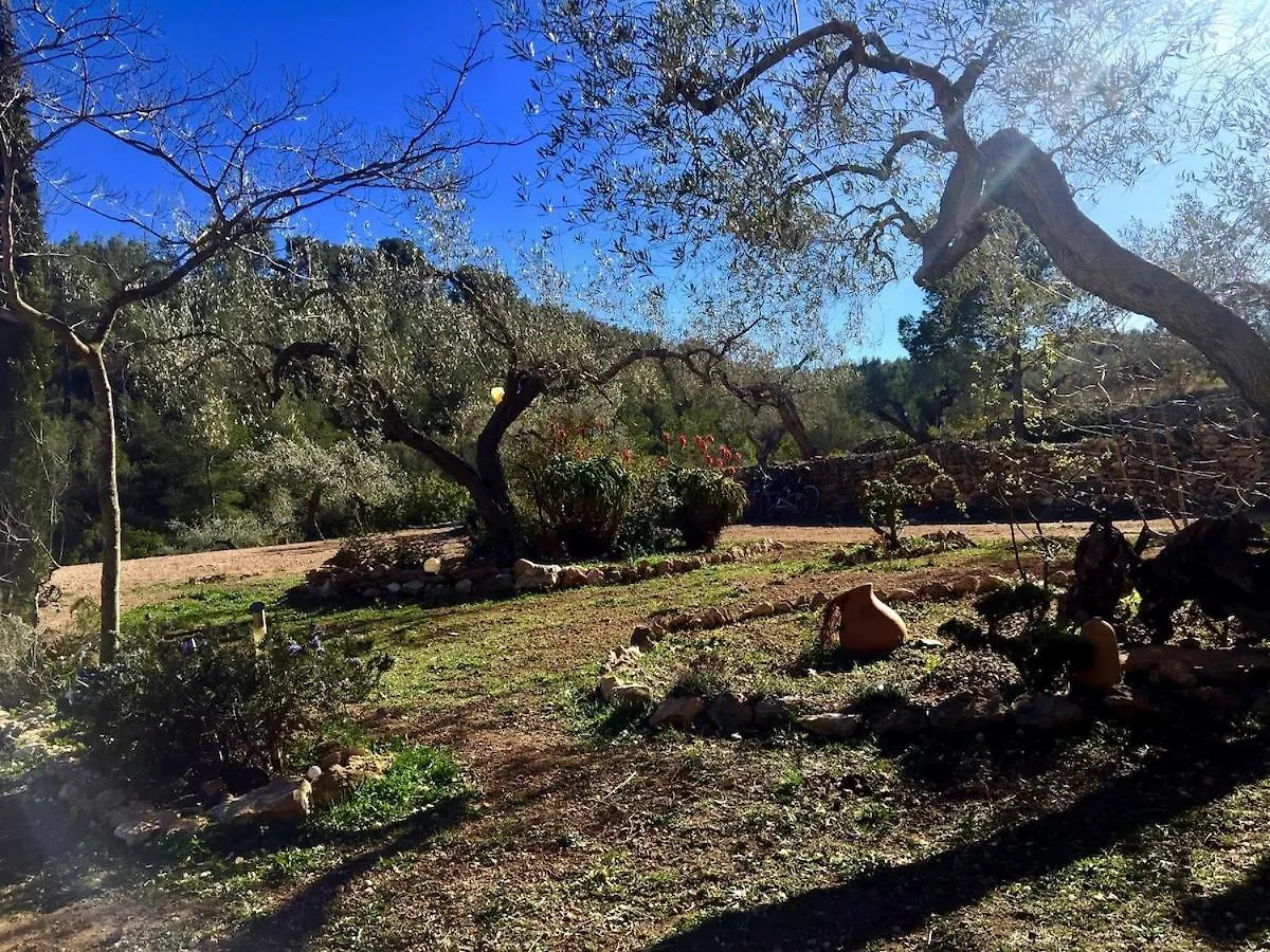 Finca Emmita El Perello